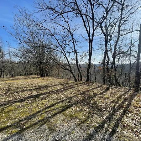 Holiday Home Montaigu-De-Quercy Lake 別荘