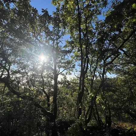 別荘 Holiday Home Montaigu-De-Quercy Lake