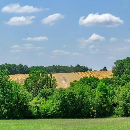 別荘 Holiday Home Montaigu-De-Quercy Lake
